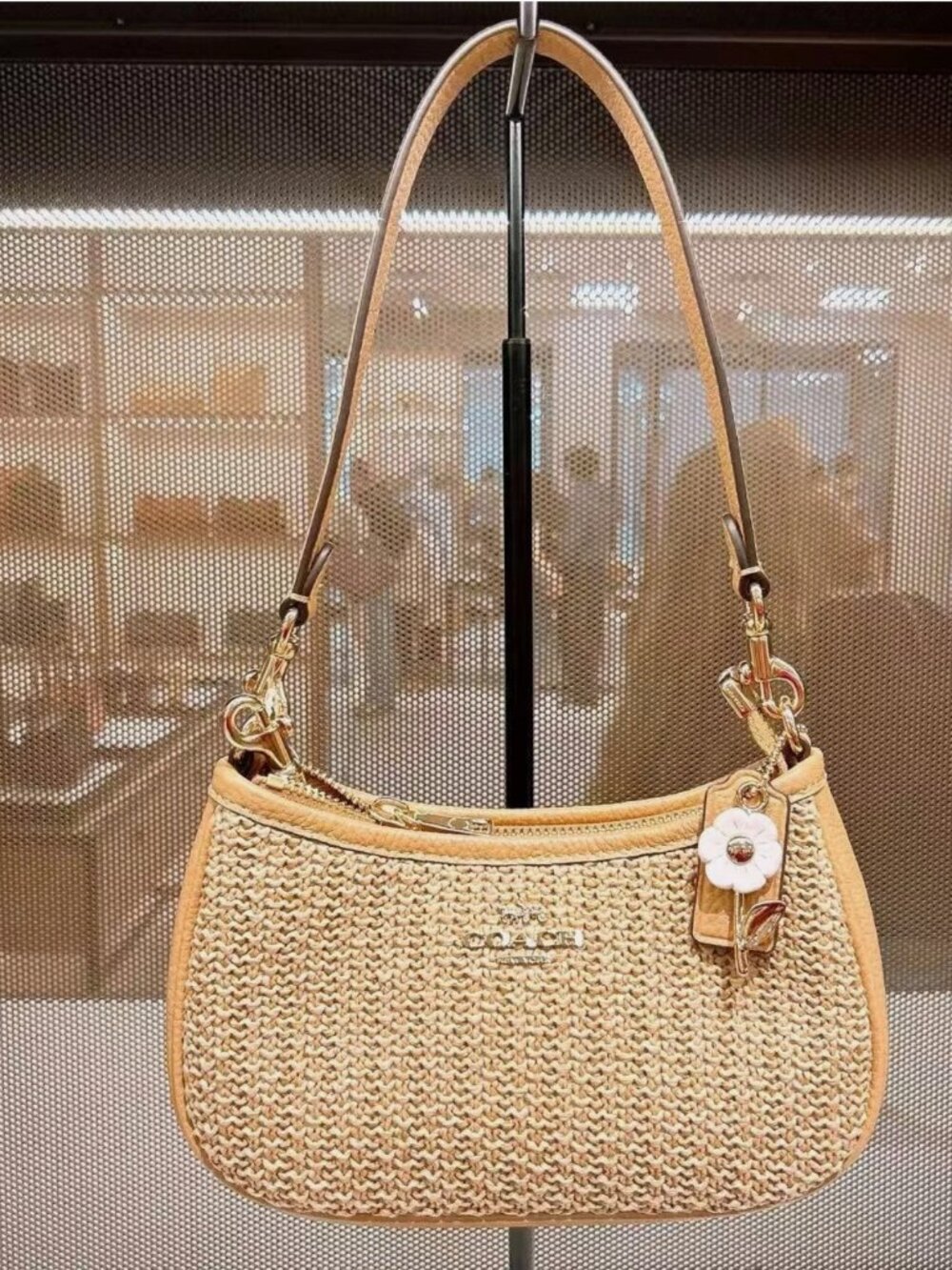 NWT Coach Teri Mini Crossbody Bag CDW66 Toast (Free charm)